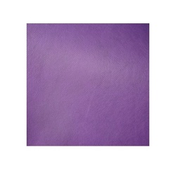 [2T60747] T.CAMBRELL LILA 1.60MT